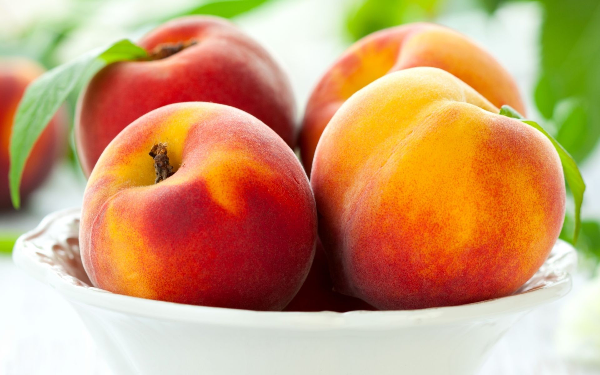 Фрукты персики абрикосы сливы в тарелке без смс