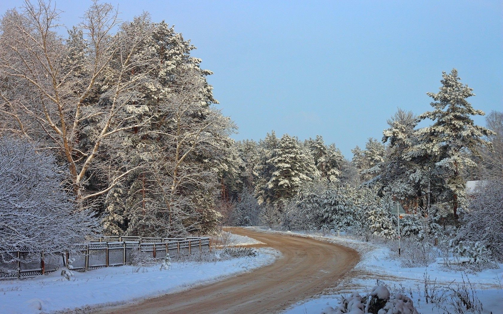 road winter snow frost cold wood tree ice frozen nature landscape season weather branch countryside snow-white scene scenic frosty fair weather