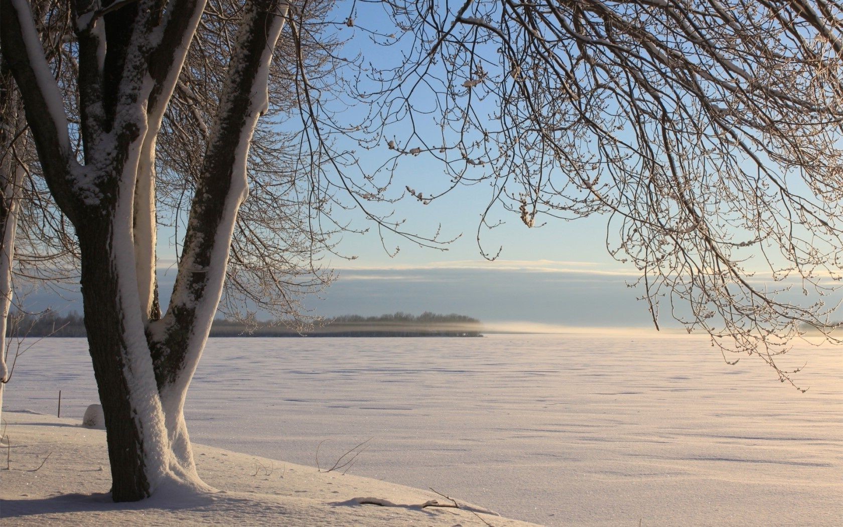 trees landscape tree winter nature water dawn beach snow wood fair weather sun outdoors scenic season sky weather