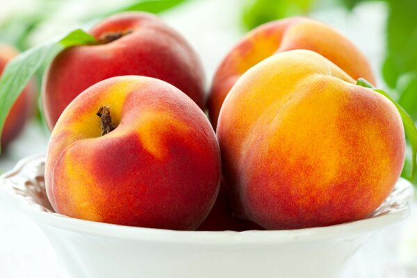 Pêches juteuses dans le fruit