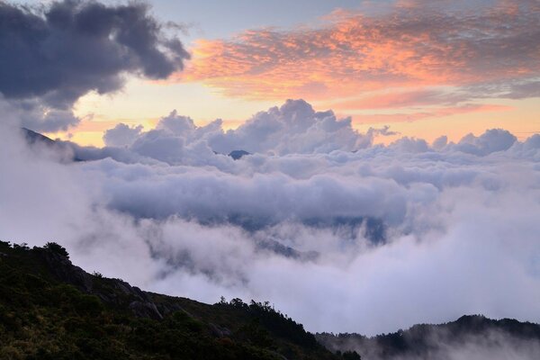 Thick fog over the rocky tropics