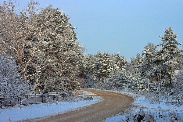 Frostige Straße im Wald