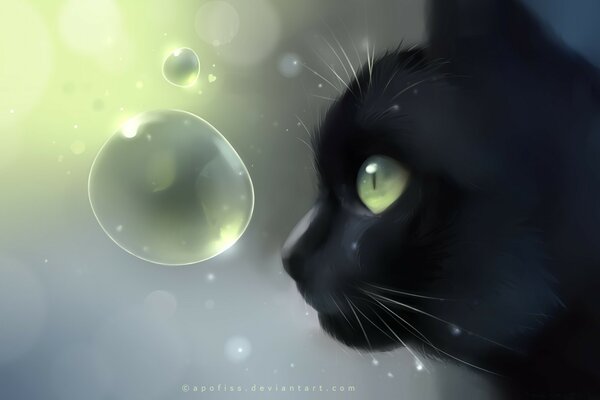 The black cat looks at the bubble