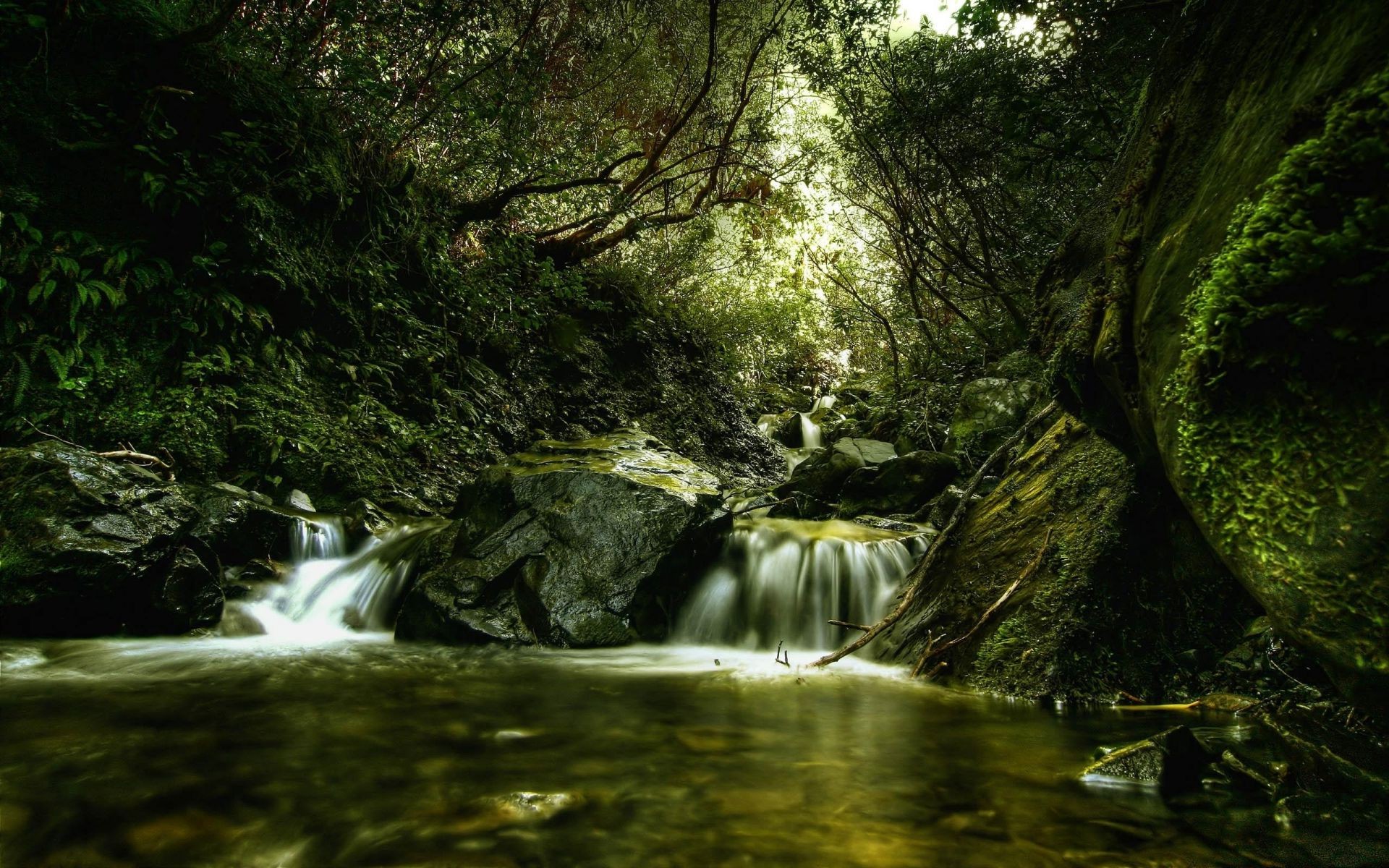 rivières étangs et ruisseaux étangs et ruisseaux eau cascade rivière nature bois ruisseau mousse feuille ruisseau paysage cascade automne arbre mouvement rock voyage photographie à l extérieur humide