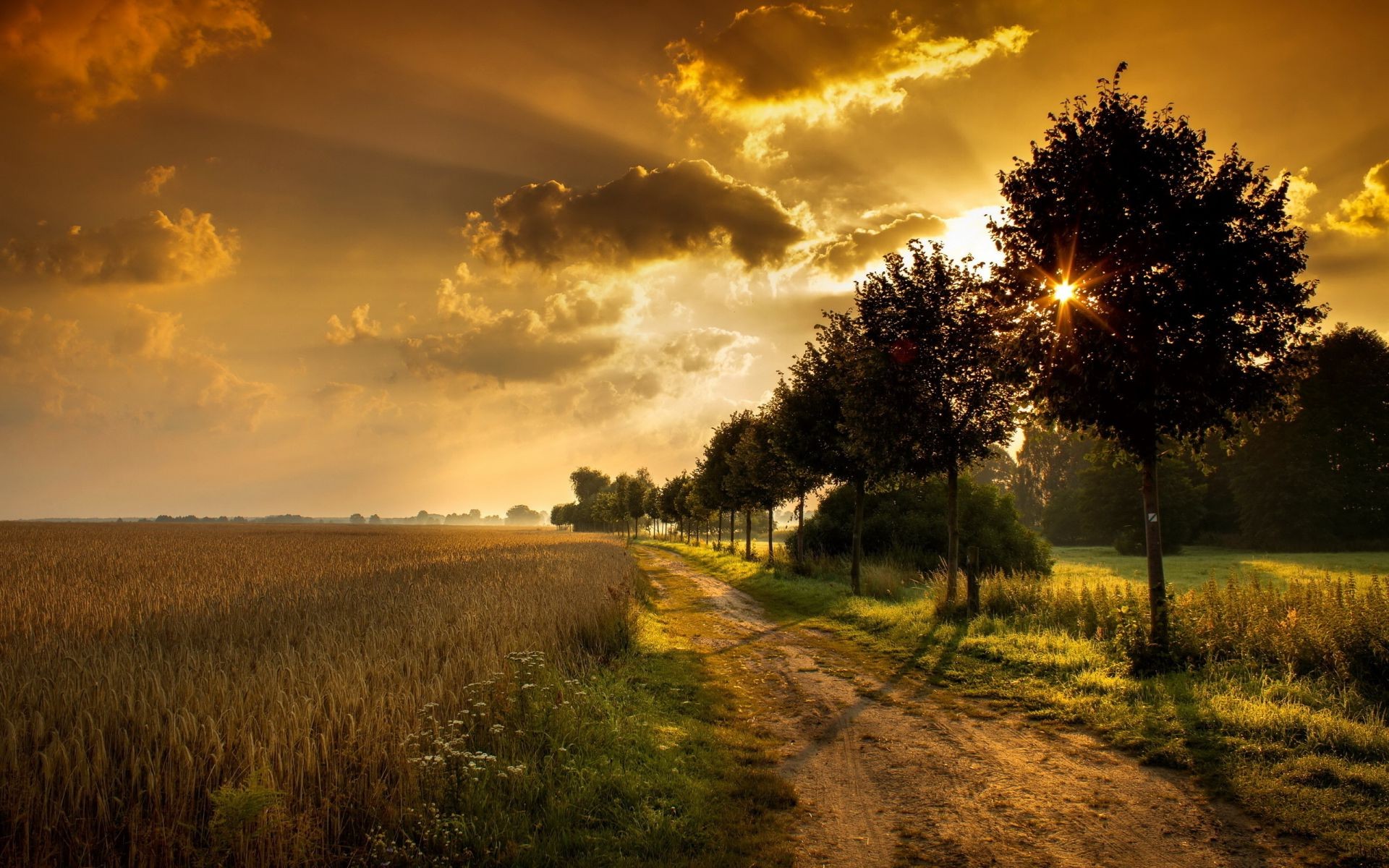 tramonto e alba tramonto paesaggio alba sole natura cielo albero campagna sera rurale all aperto autunno bel tempo erba luce crepuscolo campo