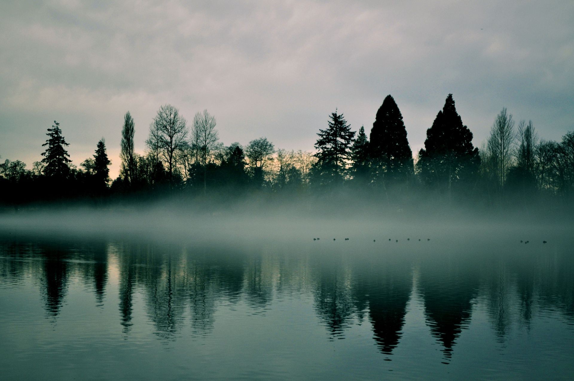 ríos estanques y arroyos estanques y arroyos lago agua amanecer naturaleza reflexión paisaje puesta de sol cielo niebla al aire libre árbol río niebla