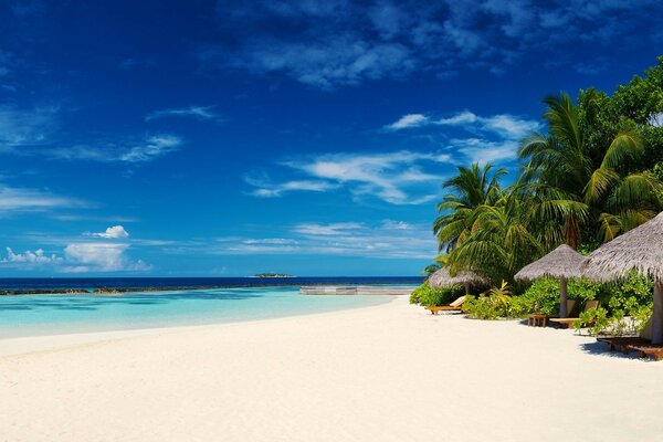 Plage tropicale sur l île