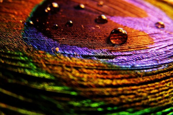 Water droplets on a multicolored background