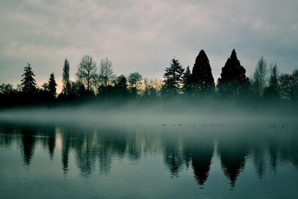 Lago da manhã no nevoeiro