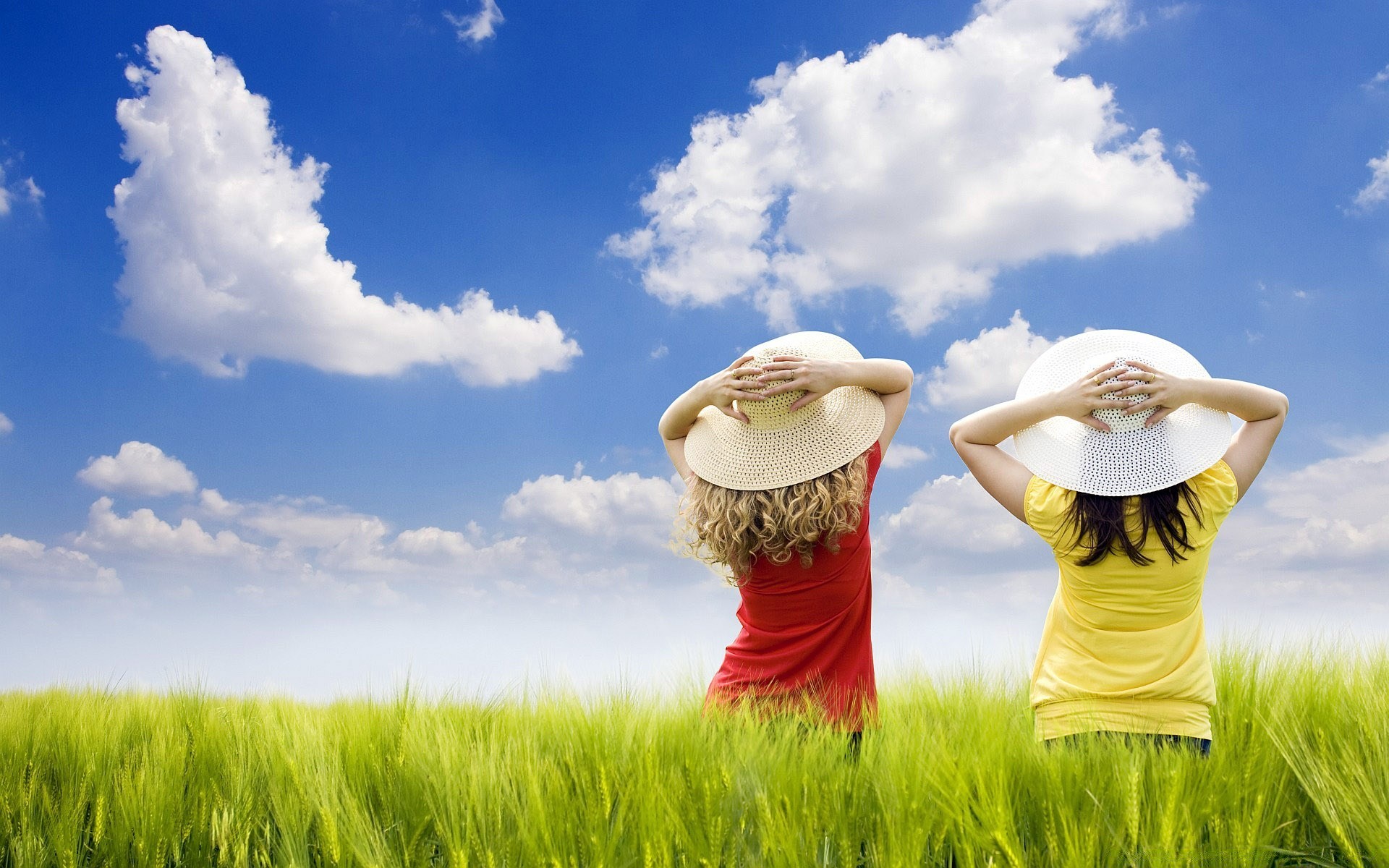 creative grass field summer nature hayfield wheat pasture sky outdoors cereal freedom countryside rural