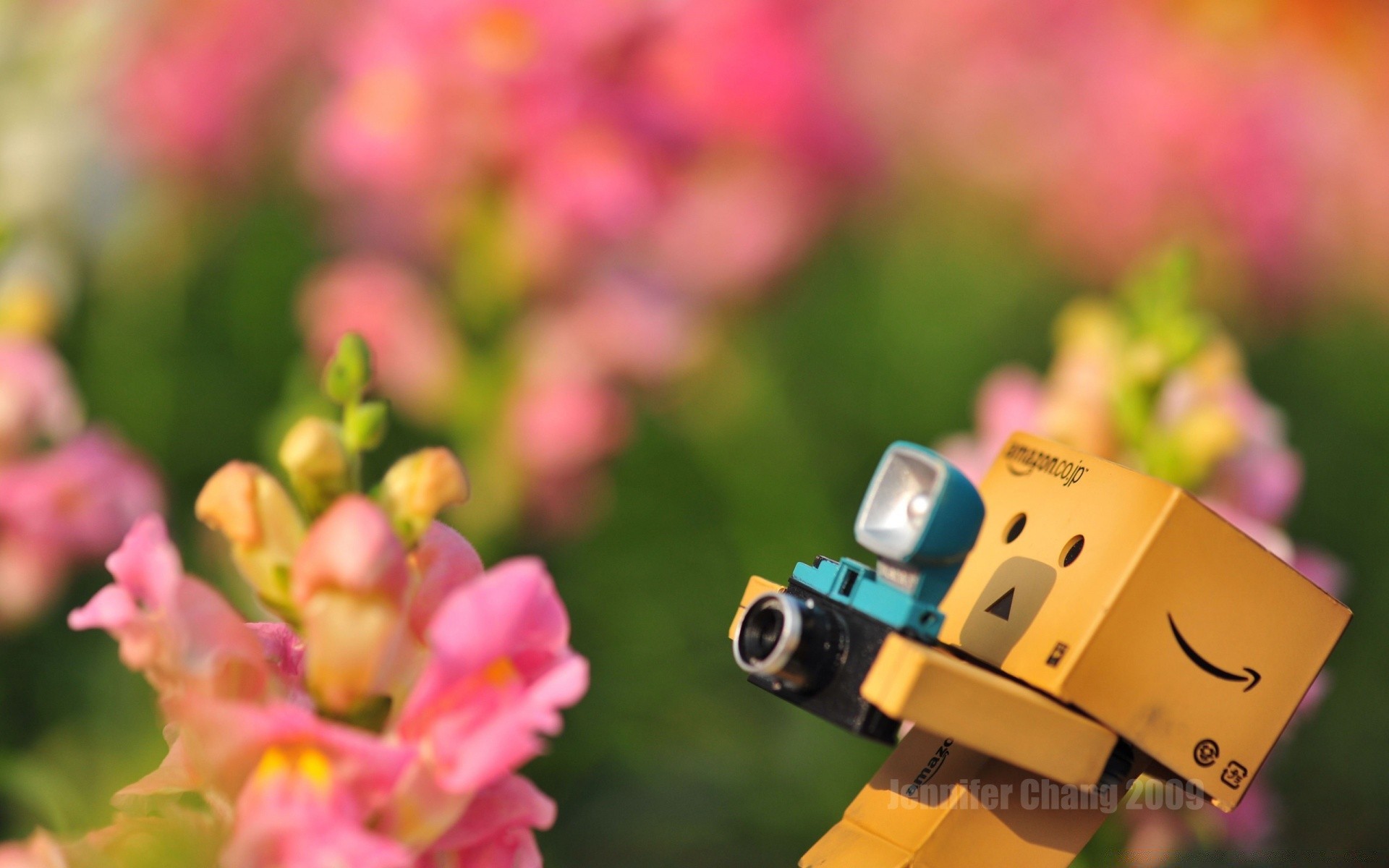 kreativ natur sommer blume im freien blatt gutes wetter garten flora hell wachstum gras