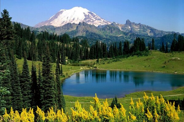 Paysage avec la montagne du lac et des collines