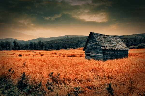 Beautiful autumn landscape