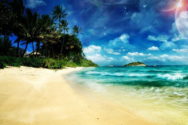 Tropical beach. Sea, sand and palm trees