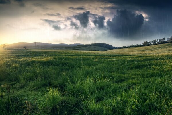 Piękne niebo nad zielonym polem