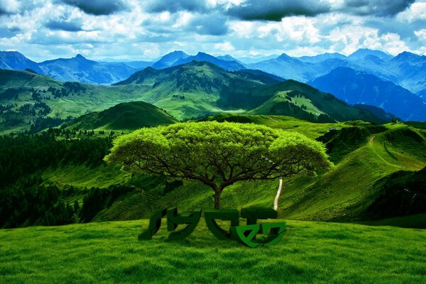 Green valley against the background of mountains and cloudy sky