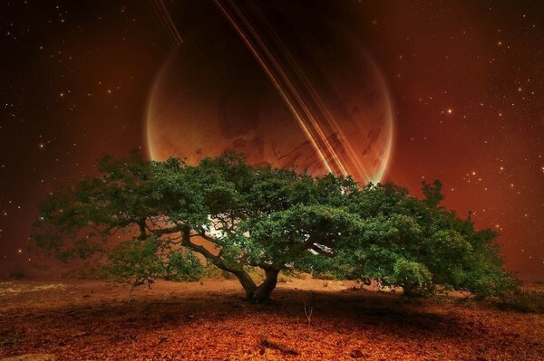 Majestic tree on the background of the planet