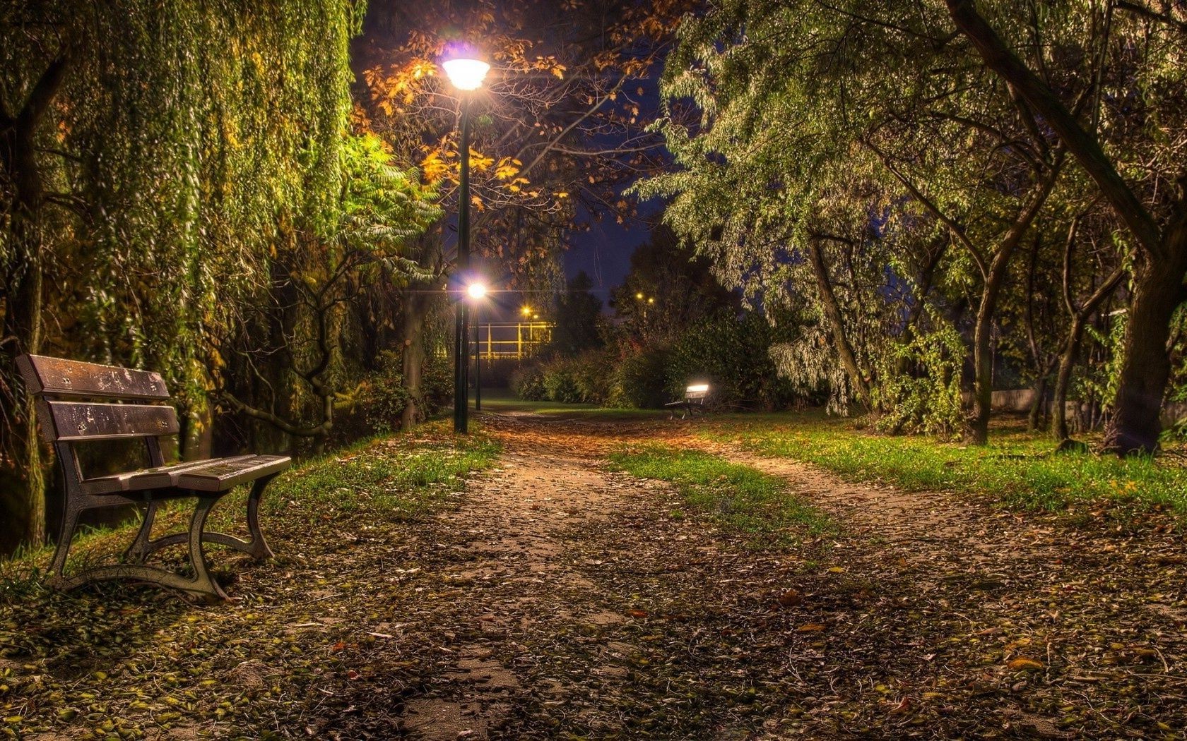 città legno albero paesaggio parco natura autunno foglia strada guida luce erba alba giardino panchina vicolo ombra ambiente all aperto