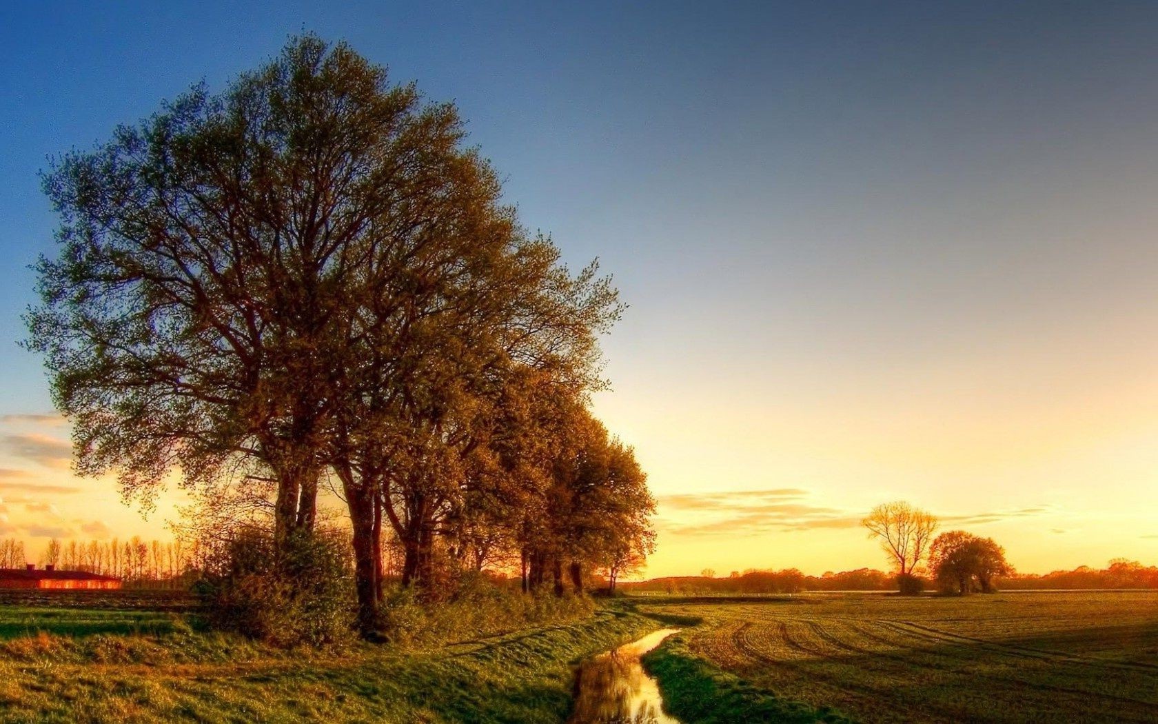 zachód słońca i świt krajobraz drzewo świt zachód słońca trawa natura niebo słońce na zewnątrz jesień wsi wsi dobra pogoda pole wieczorem