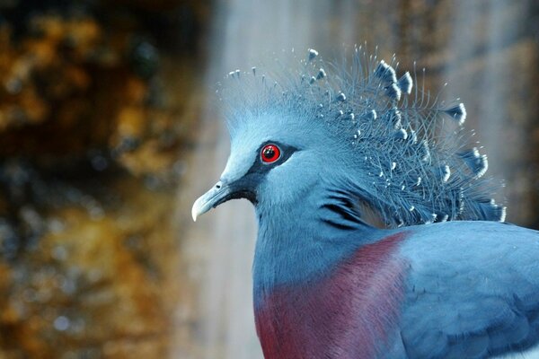 Ungewöhnlicher Vogel hautnah