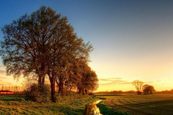 Amanecer de verano en la naturaleza