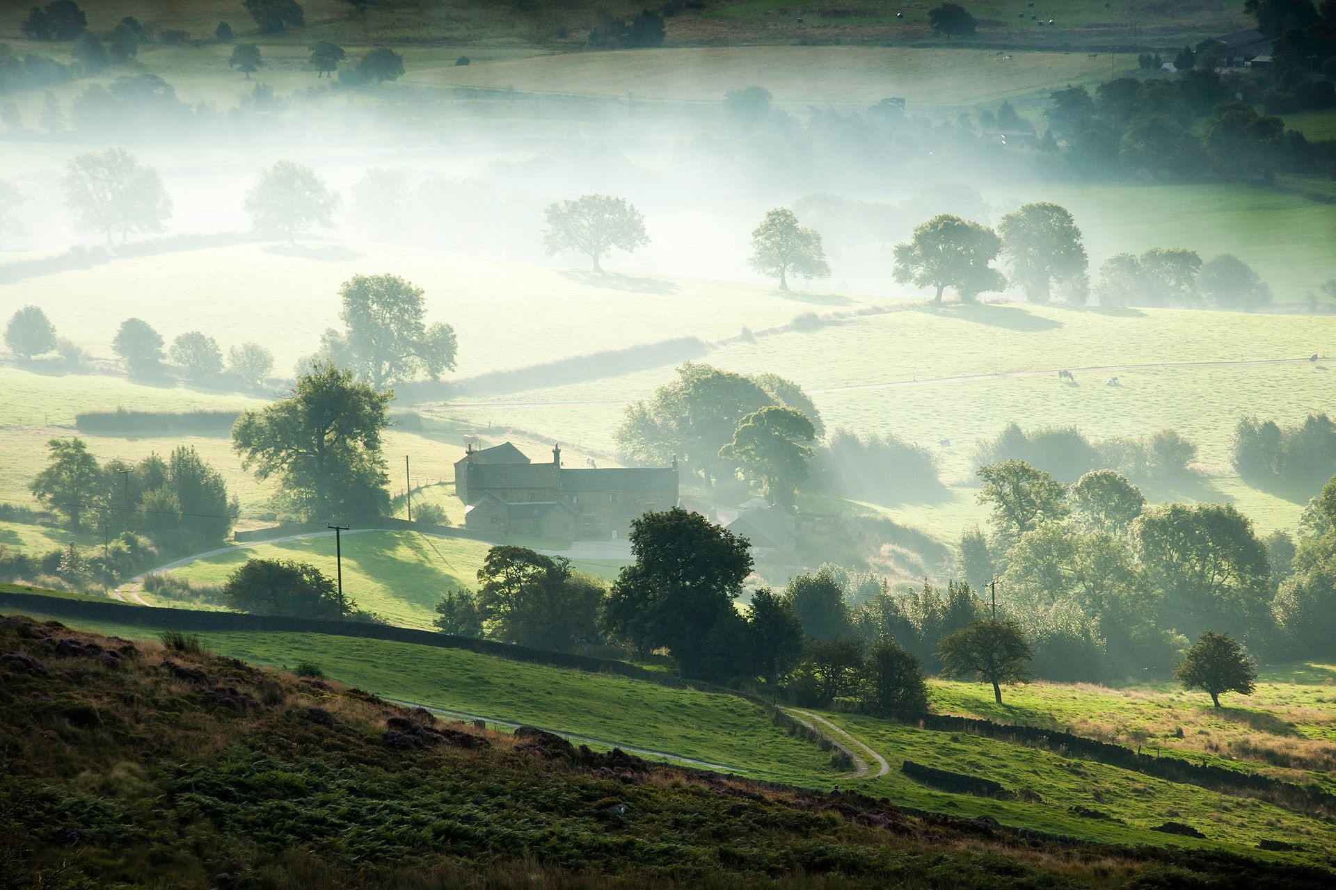 felder wiesen und täler landschaft baum hügel landschaftlich bewirtschaftetes land himmel landwirtschaft gras heuhaufen natur licht feld weiden bauernhof reisen im freien boden berge tageslicht