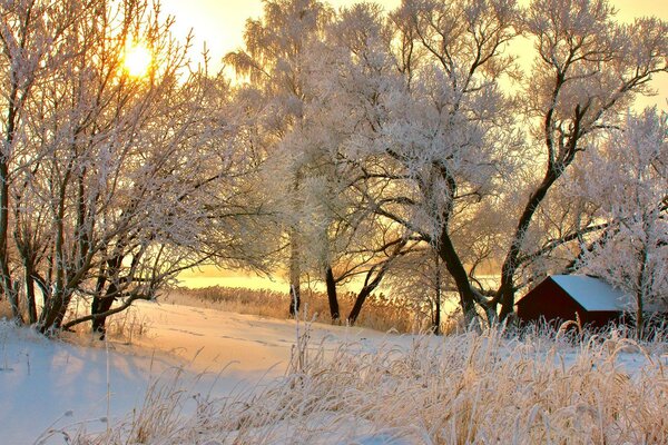 Wintertag, Morgendämmerung