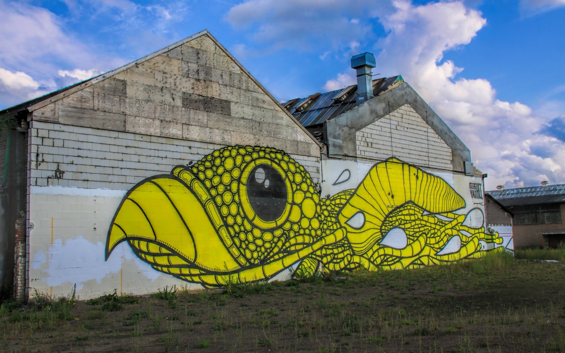 graffiti casa casa fazenda arquitetura grama céu velho exterior galpão cor verão agricultura rural ao ar livre telhado campo construção