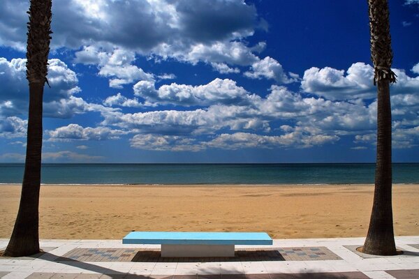 Oceano com palmeiras e céu azul nublado