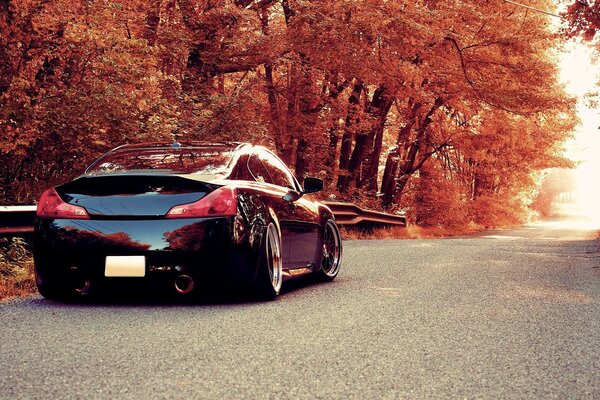 Coche en carretera en otoño