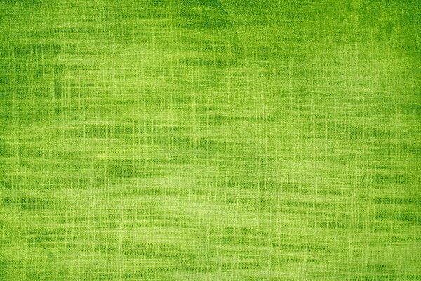 Green textile mottled sunny