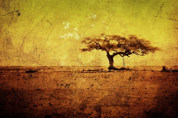 Un árbol solitario en una estepa vacía