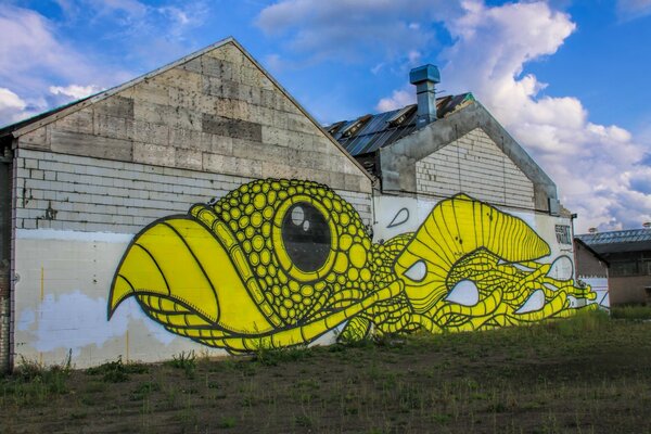 Graffiti sur les murs d une maison privée