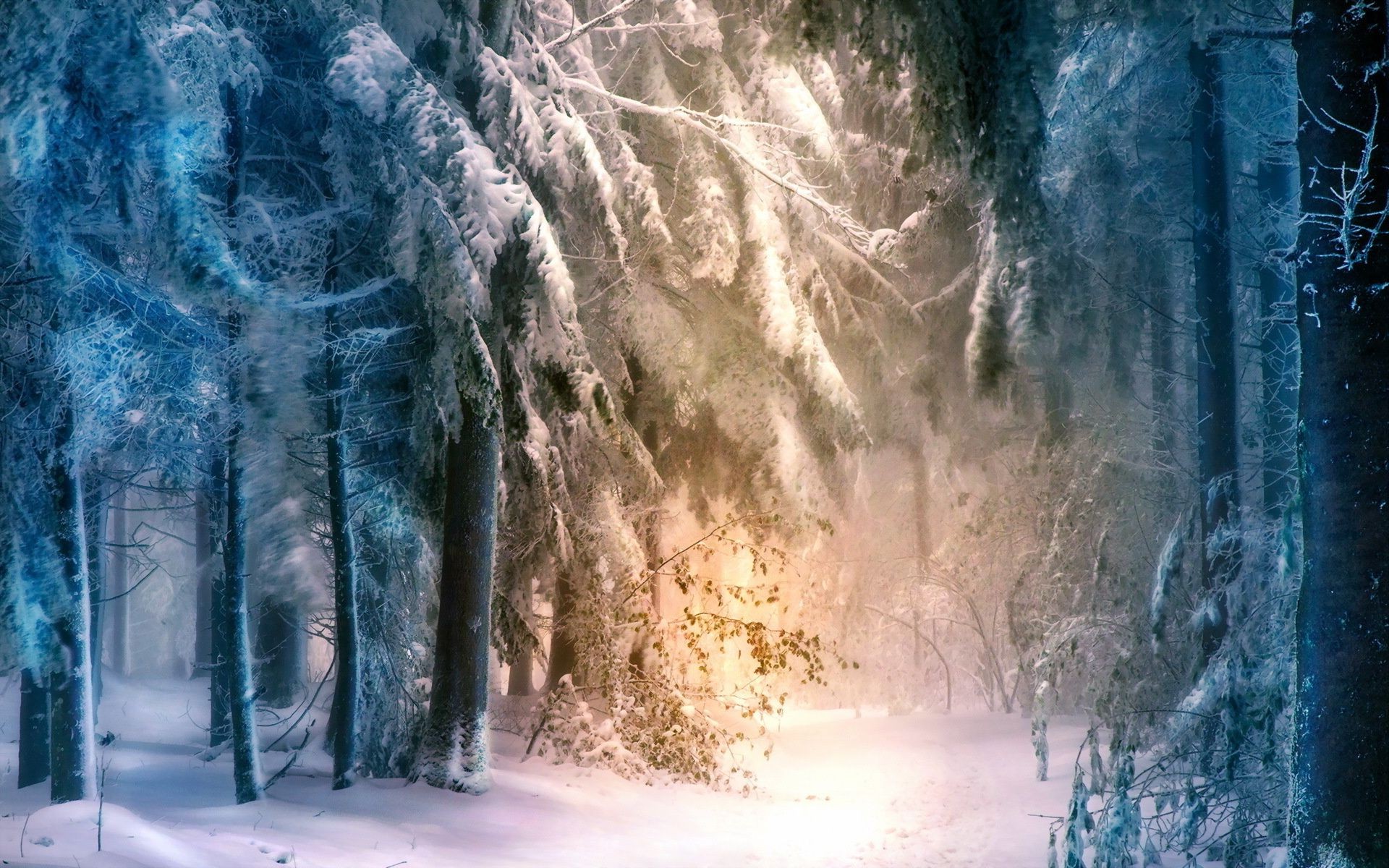 winter kälte frost schnee eis natur im freien gefroren reisen landschaft wasser nebel