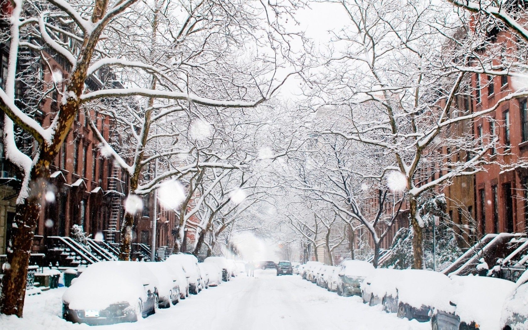 city winter snow cold frost frozen snowstorm weather season wood ice tree snowdrift snowy snow-white frosty branch landscape scene