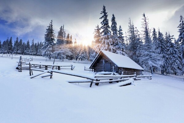 Ein einsames Haus im Winterwald