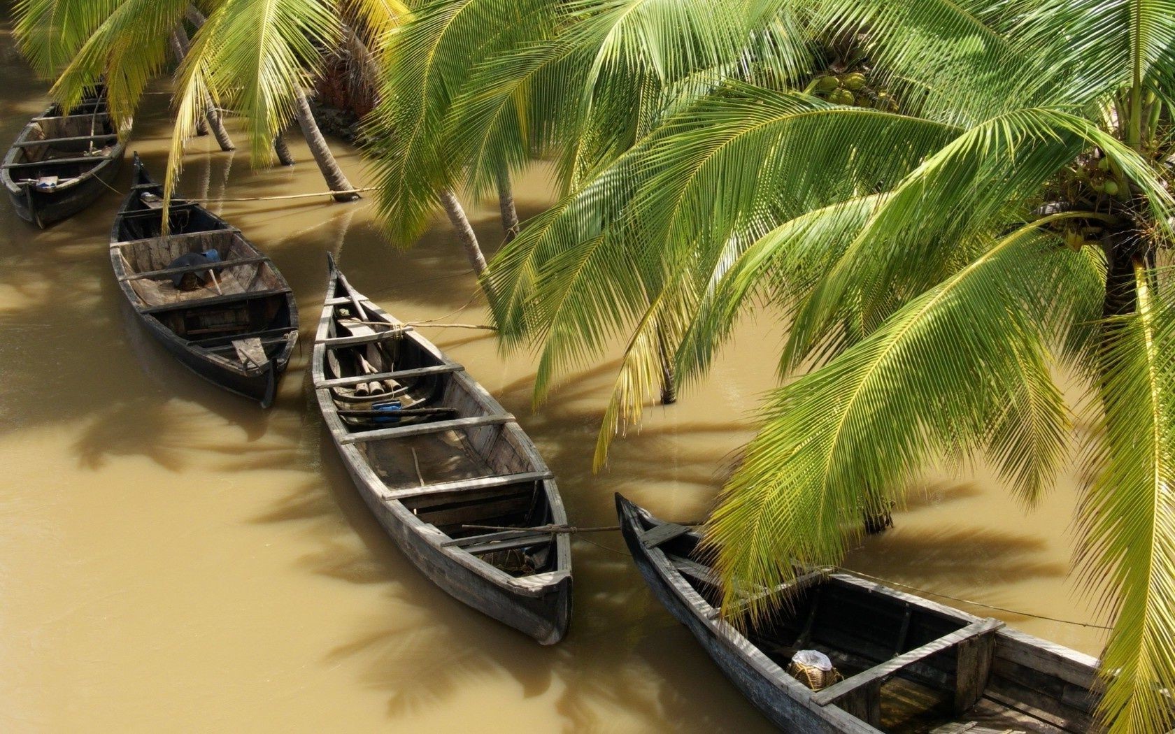 paysage tropical exotique vacances voyage plage sable paradis lagune palm été détente île station balnéaire mer eau noix de coco bateau océan