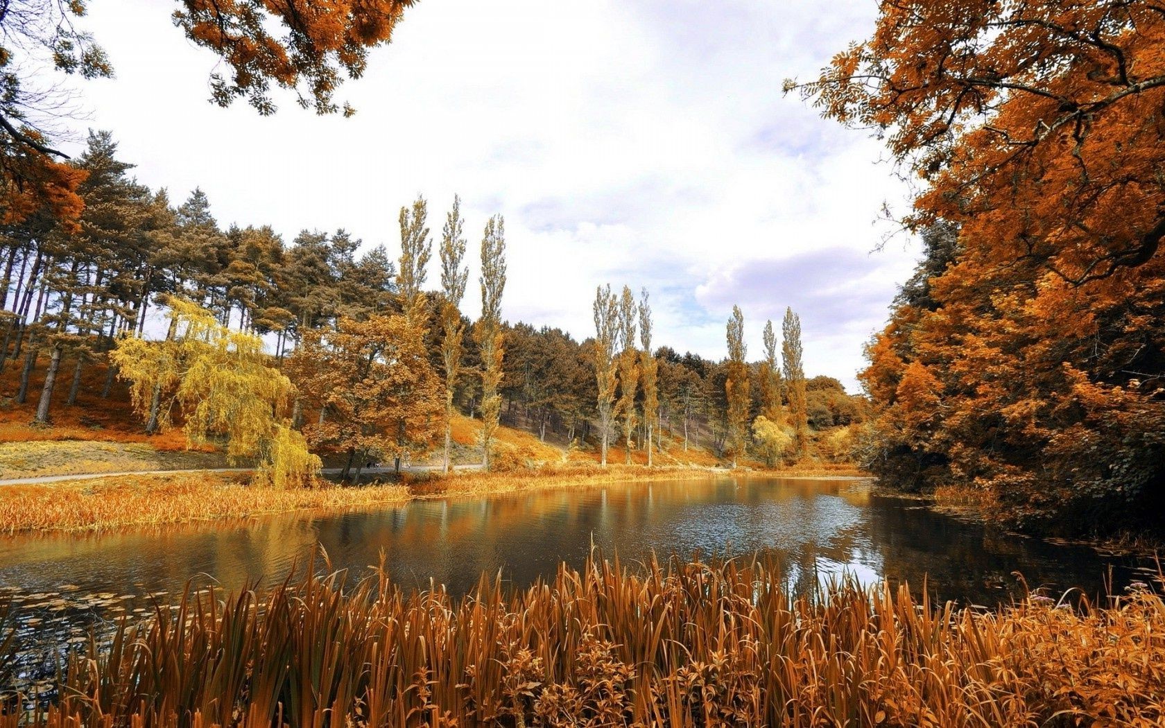 rivières étangs et ruisseaux étangs et ruisseaux automne nature paysage bois à l extérieur bois eau feuille saison ciel scénique lac réflexion or parc