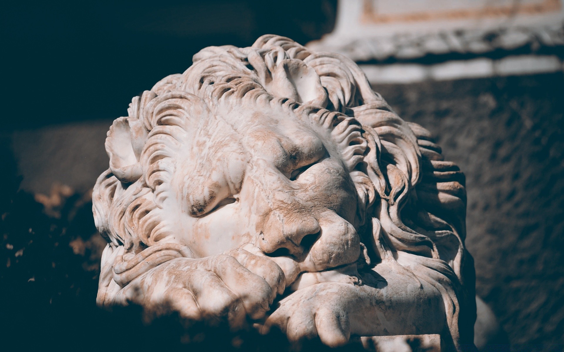 sculture statua arte leone mammifero singolo marmo viaggi