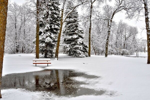 Estanque de invierno bajo la nieve blanca