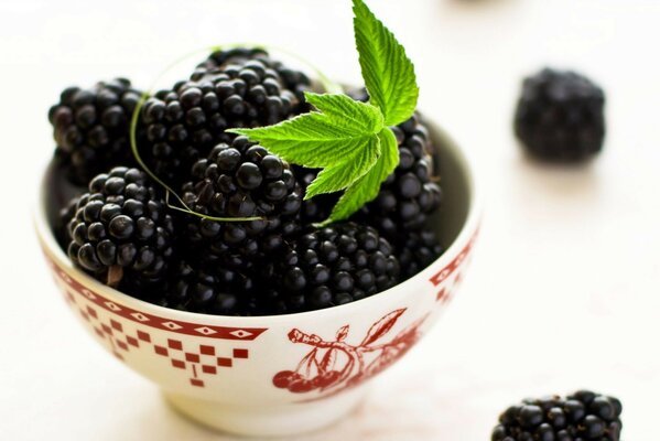 Jugosas moras en un hermoso plato