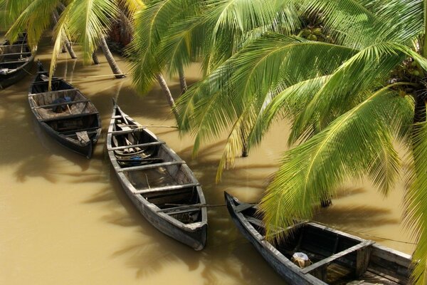 Voyage en bateau exotique sur le lac