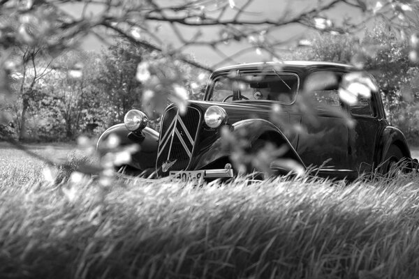 Vintage retro coche blanco y negro