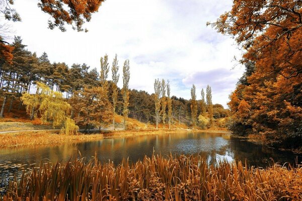 der goldene Herbst. eine sehr schöne, spirituelle Landschaft