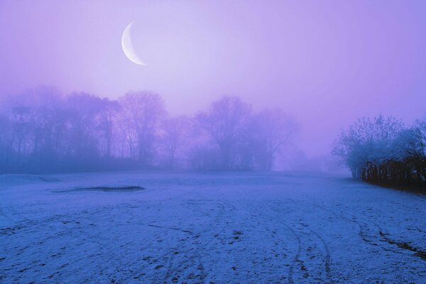 Ein mit Schnee beladenes Feld und ein Monat