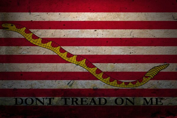 Bandera de serpiente estilo grunge