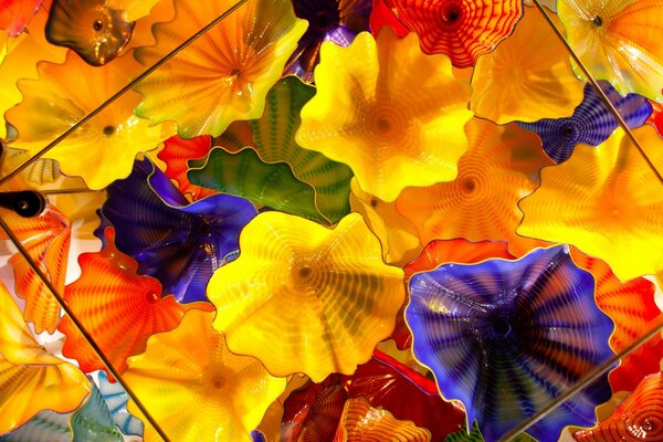 Colores brillantes en forma de flores