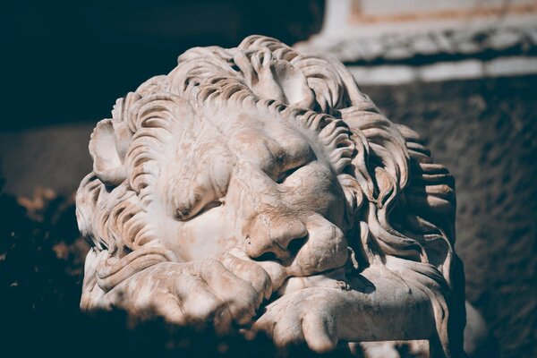 Il Leone dorme, i topi ballano