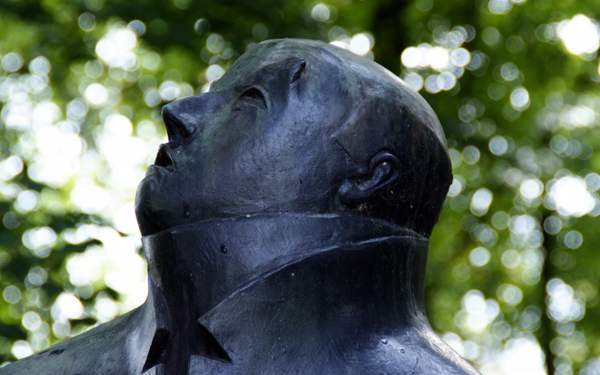 sculptures nature portrait parc à l extérieur seul visage arbre