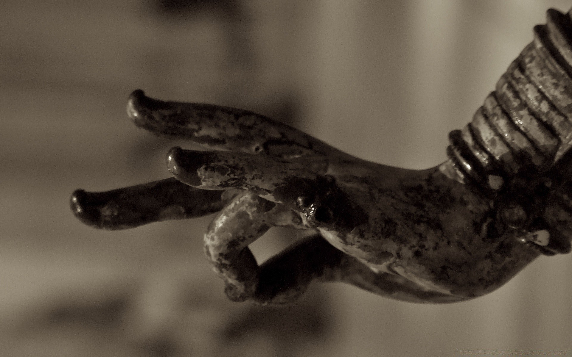 sculpture monochrome dof still life nature invertebrate blur water rain food sepia fish reptile insect